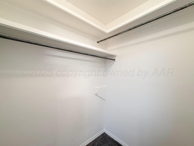 5101 Pin Oak Dr, Amarillo, TX 79110 - view of walk in closet