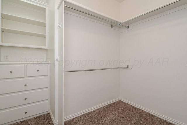 8309 Plymouth Dr, Amarillo, TX 79119 - walk in closet with carpet