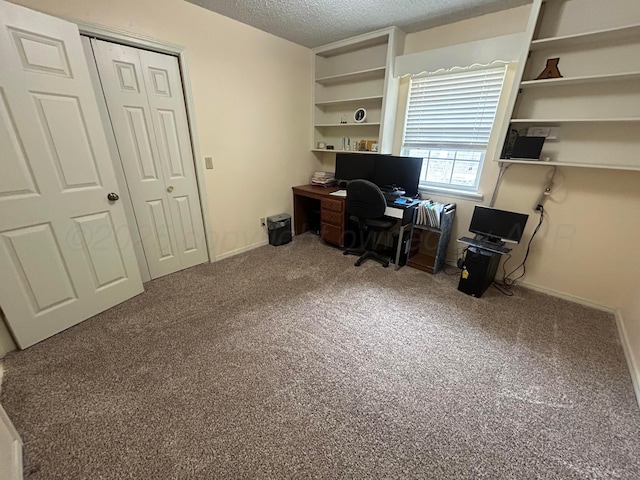 7906 Merchant Dr, Amarillo, TX 79121 - home office featuring carpet floors, baseboards, and a textured ceiling