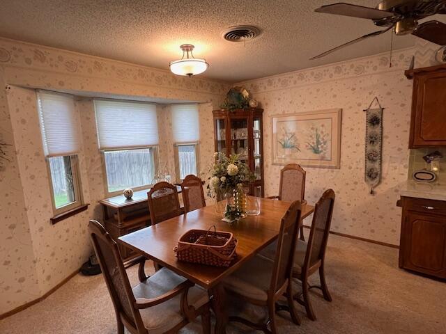 1118 Northwestern St, Perryton, TX 79070 - photo 9