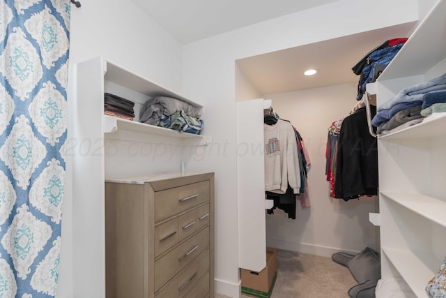 walk in closet with light carpet