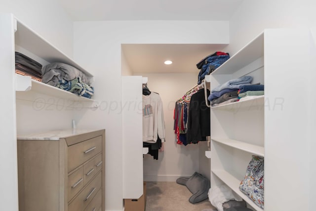 spacious closet with light colored carpet