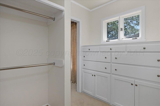 1805 S Julian Blvd, Amarillo, TX 79102 - spacious closet with light carpet