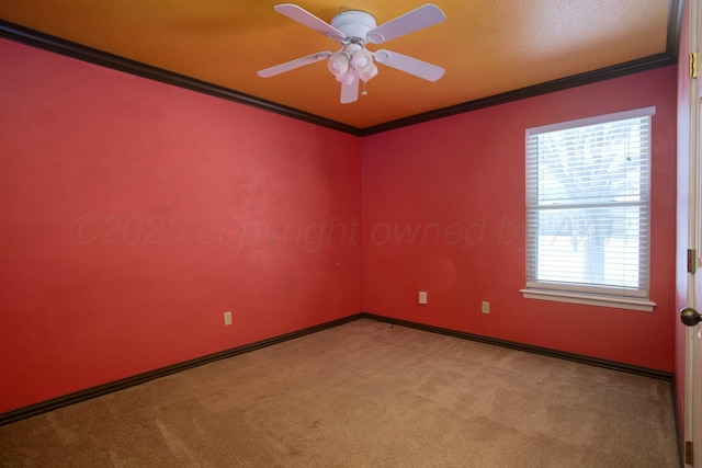 empty room featuring ornamental molding, light carpet, and ceiling fan