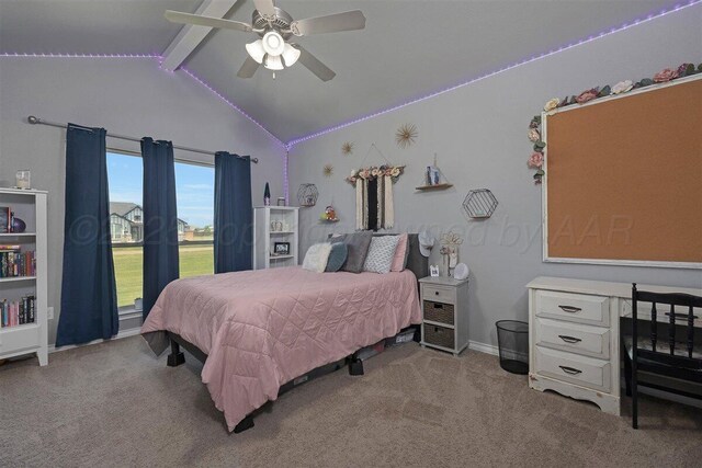 17801 Quail Crossing Rd, Amarillo, TX 79124 - photo 24