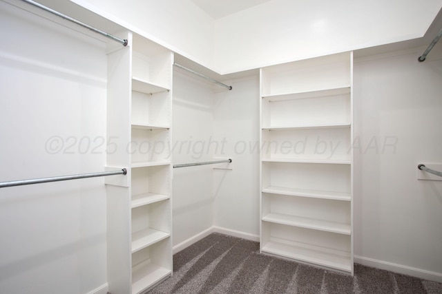 walk in closet with dark carpet