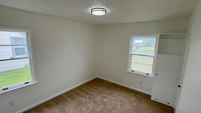1329 Bellaire St, Amarillo, TX 79106 - photo 22