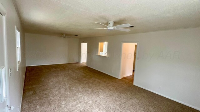 1329 Bellaire St, Amarillo, TX 79106 - photo 19