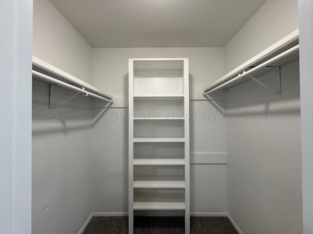 walk in closet with carpet flooring