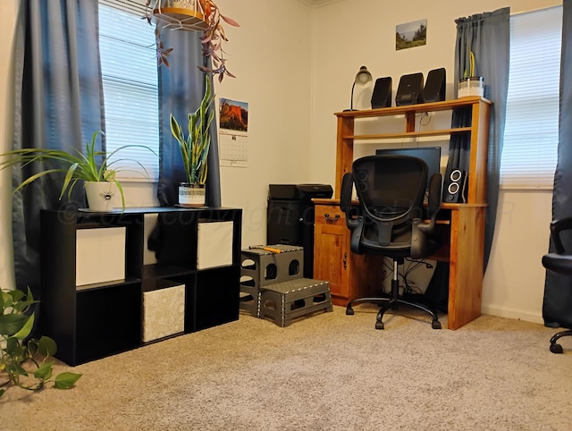 1029 S Farley St, Pampa, TX 79065 - office area featuring carpet floors