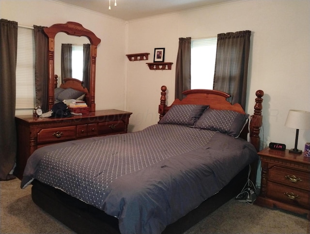 1029 S Farley St, Pampa, TX 79065 - bedroom with ornamental molding and carpet
