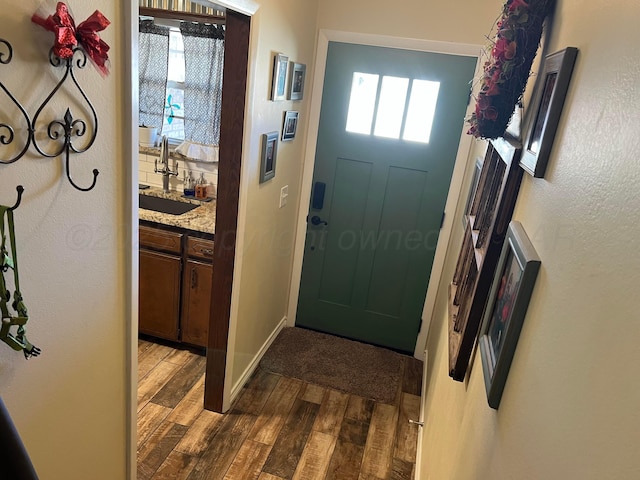 entrance foyer with sink and hardwood / wood-style flooring