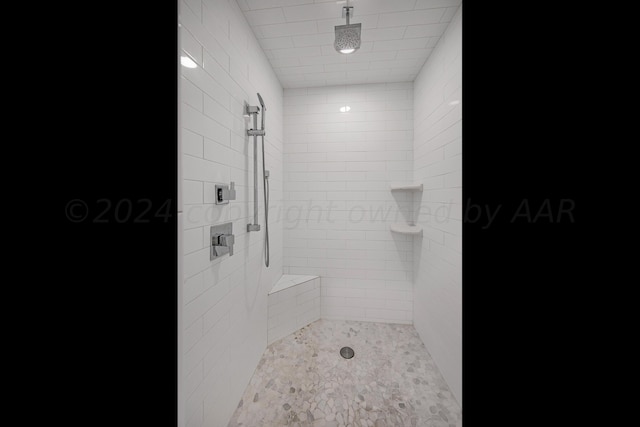 2606 S Lipscomb St, Amarillo, TX 79109 - bathroom featuring tiled shower