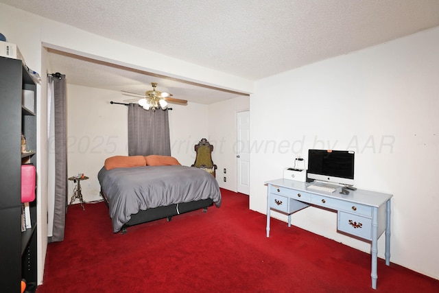915 Columbine St, Amarillo, TX 79107 - photo 9