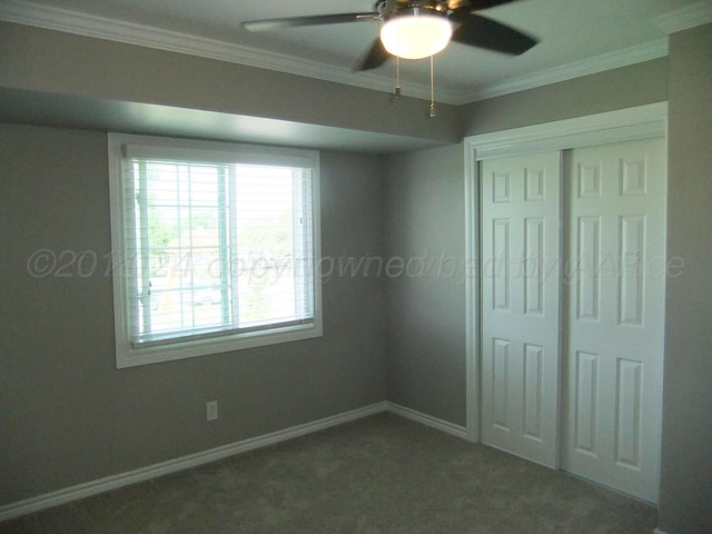 unfurnished bedroom with ceiling fan, a closet, crown molding, and carpet