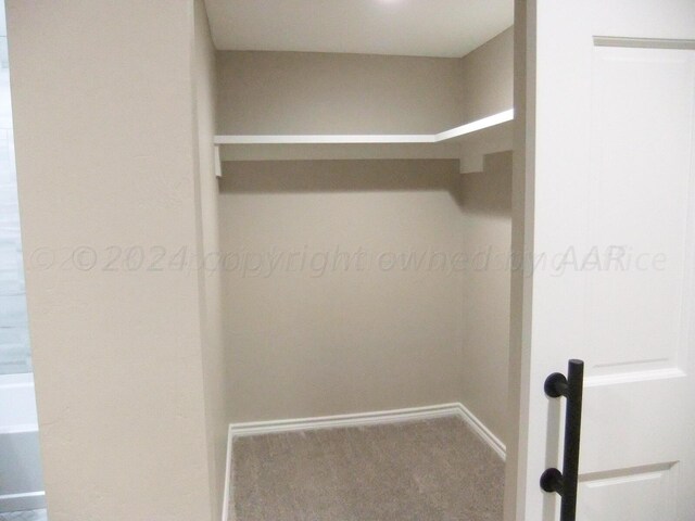 spacious closet featuring carpet