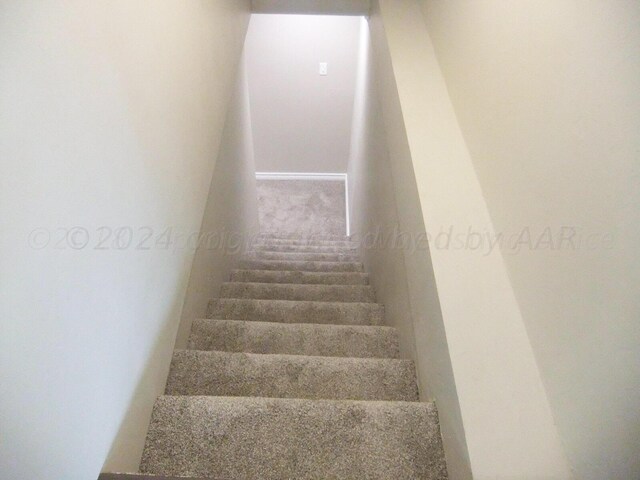 stairs featuring carpet