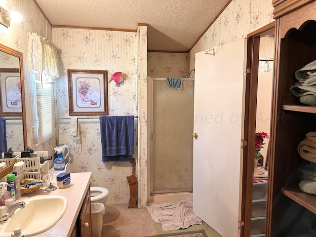 bathroom with walk in shower, lofted ceiling, a textured ceiling, and a bidet