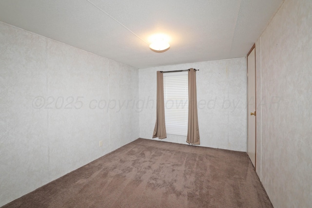 4301 W Mccormick Rd, Amarillo, TX 79118 - photo 18