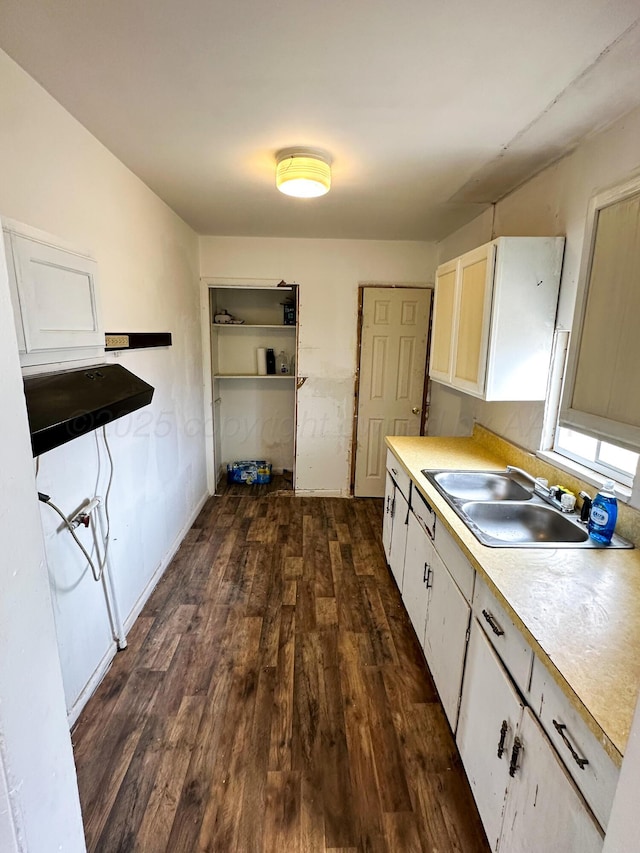 kitchen with white cabinetry, dark hardwood / wood-style flooring, and sink