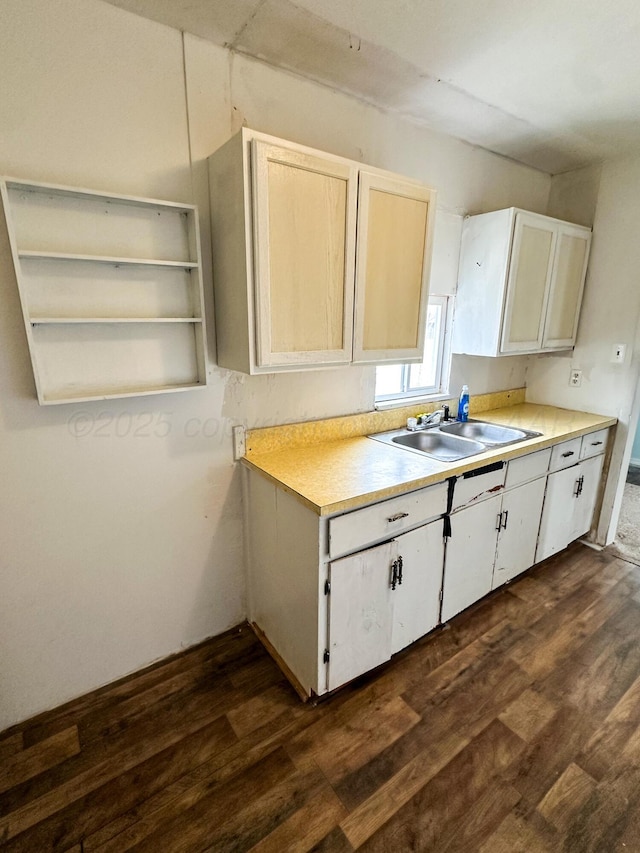 kitchen featuring sink and dark wood-type flooring