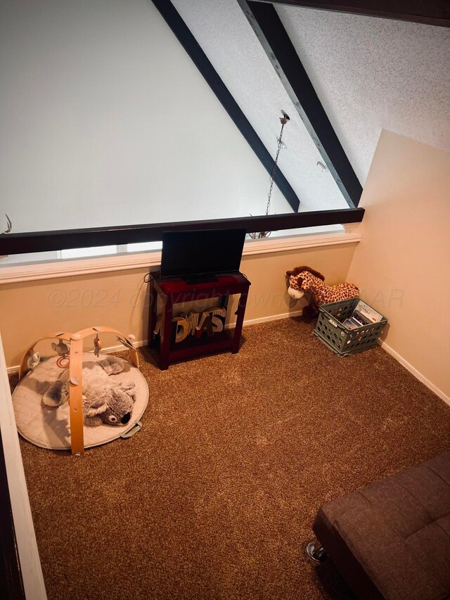 interior details with beam ceiling and carpet