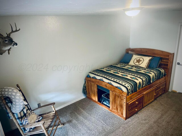 view of carpeted bedroom