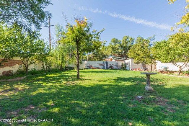1607 S Harrison St, Amarillo, TX 79102 - view of yard