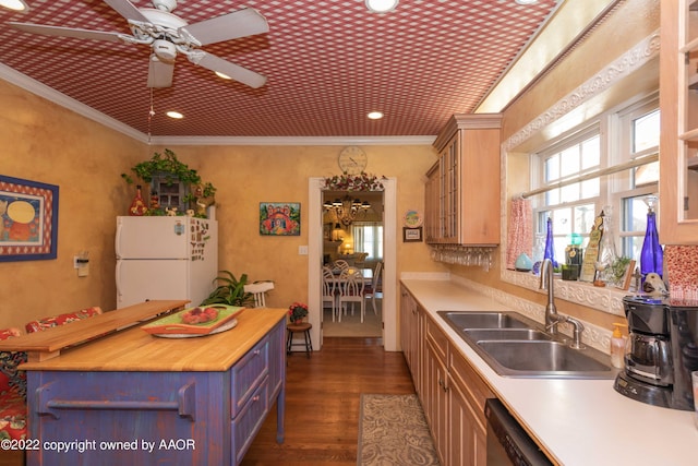 1607 S Harrison St, Amarillo, TX 79102 - kitchen featuring freestanding refrigerator, a sink, dark wood-type flooring, ceiling fan, and glass insert cabinets