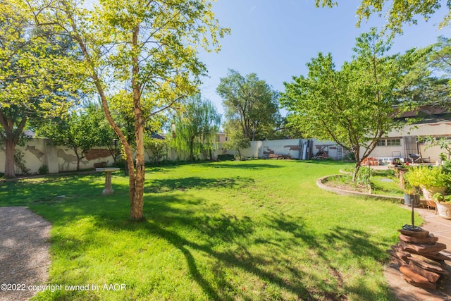 1607 S Harrison St, Amarillo, TX 79102 - view of yard