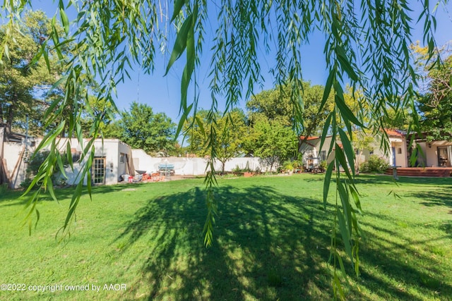 1607 S Harrison St, Amarillo, TX 79102 - view of yard