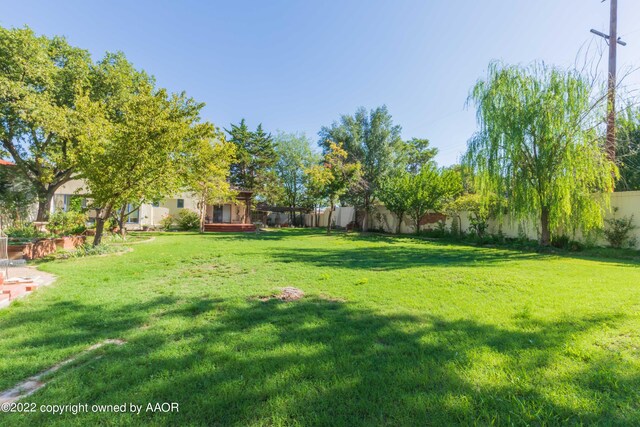 1607 S Harrison St, Amarillo, TX 79102 - view of yard