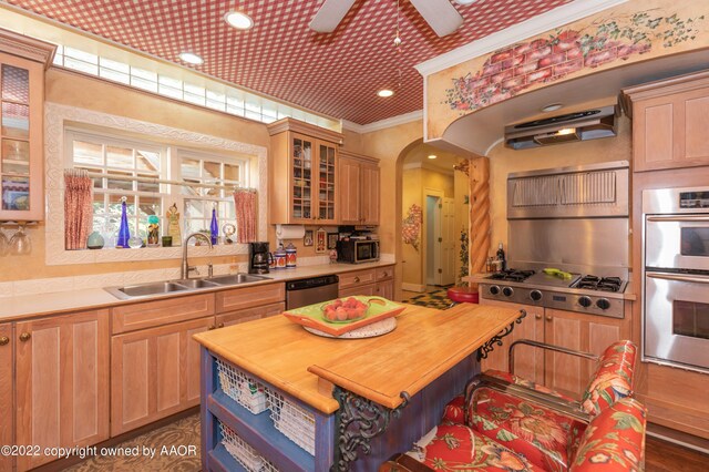 1607 S Harrison St, Amarillo, TX 79102 - kitchen with appliances with stainless steel finishes, a sink, arched walkways, glass insert cabinets, and ornamental molding