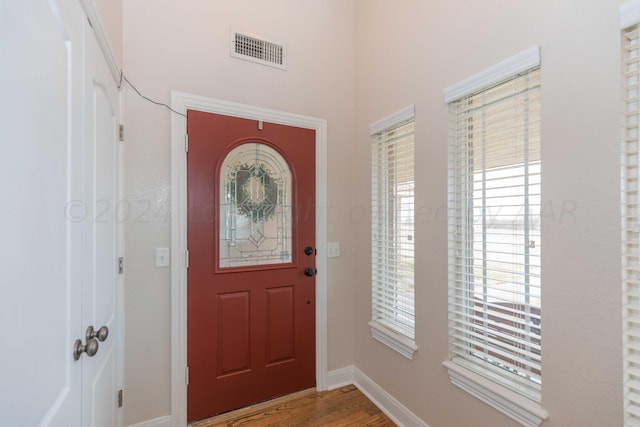 foyer featuring plenty of natural light and hardwood / wood-style flooring