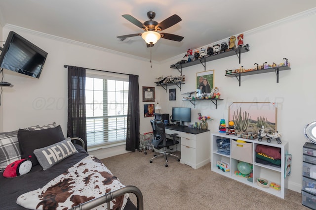 25 Nicci Ln, Canyon, TX 79015 - carpeted office featuring ceiling fan and ornamental molding