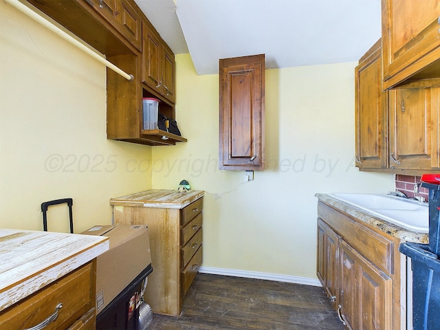kitchen with sink and dark hardwood / wood-style flooring