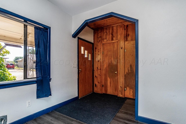 foyer entrance featuring dark hardwood / wood-style flooring