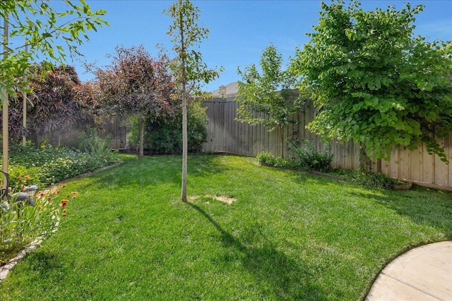 8205 S Liberty Cir, Amarillo, TX 79119 - view of fenced backyard