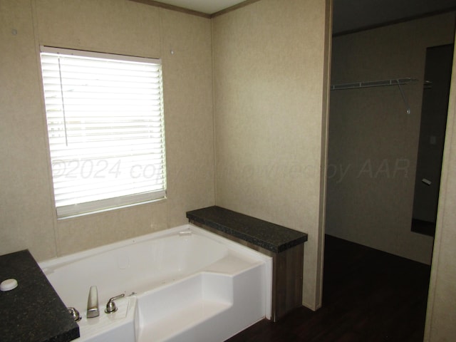 bathroom with hardwood / wood-style floors and a bathtub