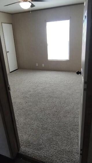 empty room with carpet and ceiling fan