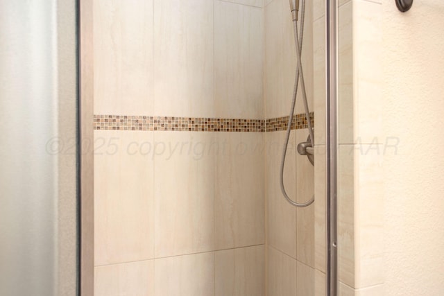 4602 Cape Verde Ct, Amarillo, TX 79119 - bathroom view of a shower stall