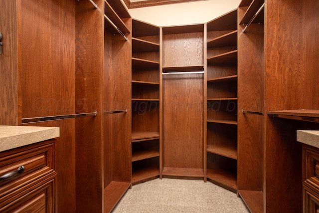 4602 Cape Verde Ct, Amarillo, TX 79119 - walk in closet featuring light colored carpet