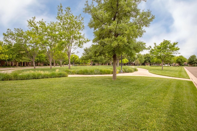 4602 Cape Verde Ct, Amarillo, TX 79119 - view of home's community featuring a yard