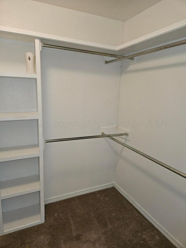 7205 Columbia Ln, Amarillo, TX 79109 - walk in closet featuring carpet flooring