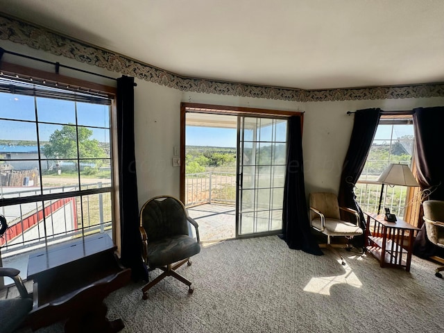 living area with a wealth of natural light and carpet flooring