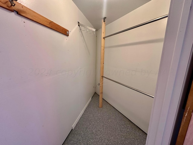 spacious closet with carpet floors