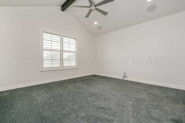 9734 Cicada Trl, Amarillo, TX 79119 - photo 13