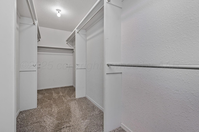walk in closet with carpet