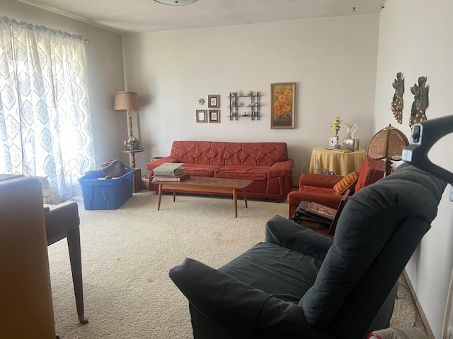 living room featuring carpet flooring