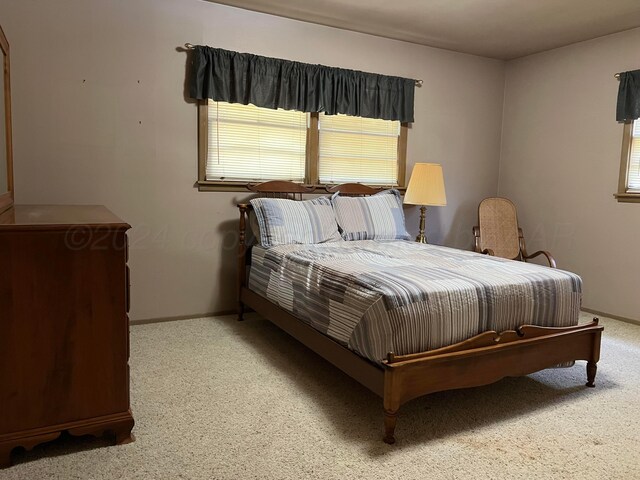 bedroom featuring carpet flooring